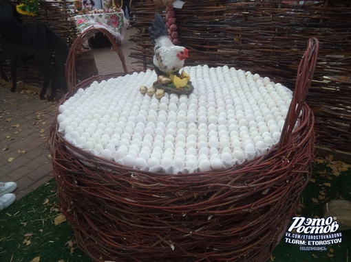 🌾 День донского урожая в парке..