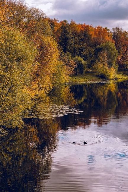 Осень в Измайлово

Фото Евгения..