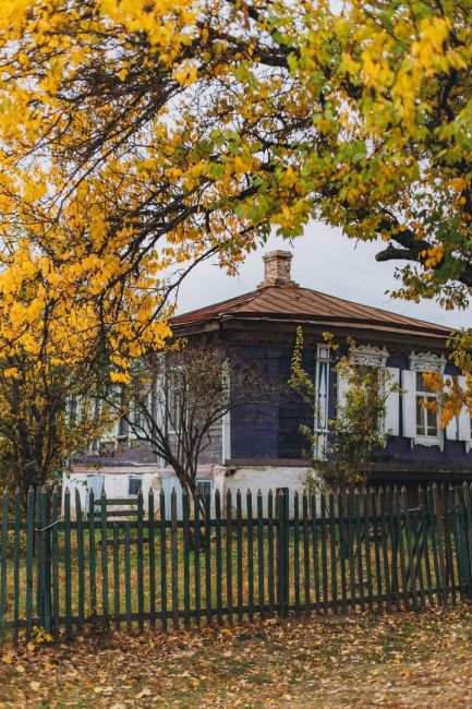 Красивая осень в Старочеркасской 🧡 

Фото: Артём..