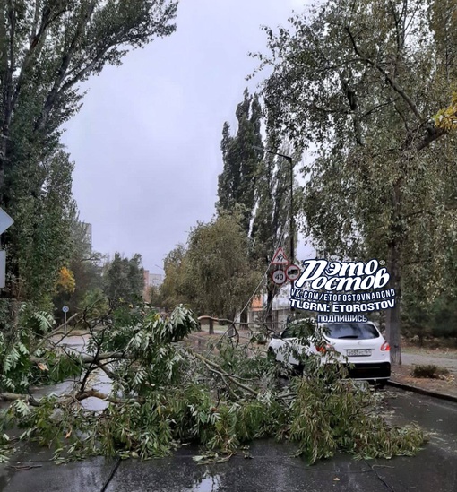 ⚠🌳 Последствия сильного ветра в Ростове. Повалило десятки деревьев, лавочки, дорожные знаки. Давно такого..