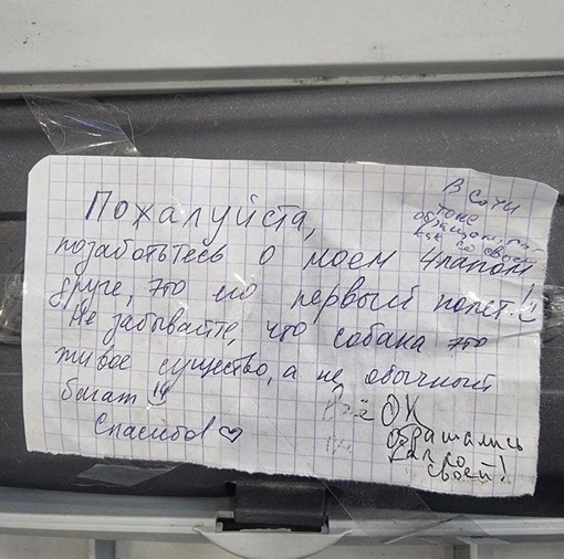 "Это его первый полет": хозяйка корги оставила сотрудникам аэропорта трогательную записку 
 
Перед вылетом из..