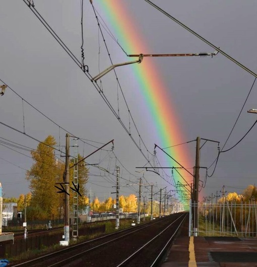 Безумно красивую радугу петербуржцы могли наблюдать сегодня..