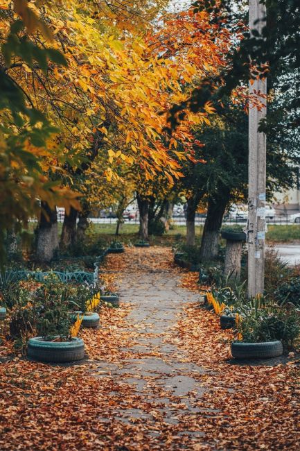 Осень в Новочеркасске

Фото: Артём..