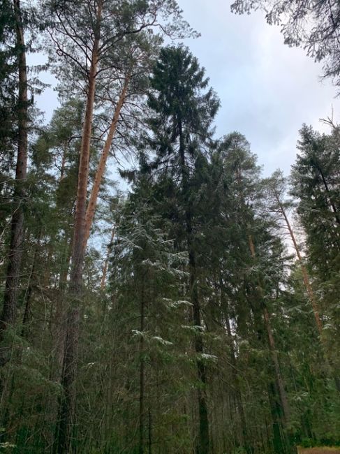 В селе Берёзовка (Пермский край) был сегодня первый снег

Когда же нам ждать его в..