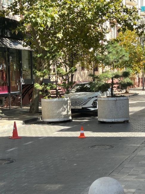 Хамы тоже любят кофе

Нам пишут:

- Водитель данного авто проехал по пешеходной части улицы Чапаева на немалой..