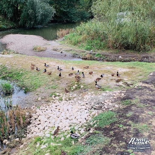 🌺 Уютный и цветущий парк Первая миля за зоопарком

📍Координаты: 47.256277,..