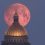 Этой ночью над Петербургом можно будет увидеть «кровавую луну» — частичное лунное затмение, из-за которого..