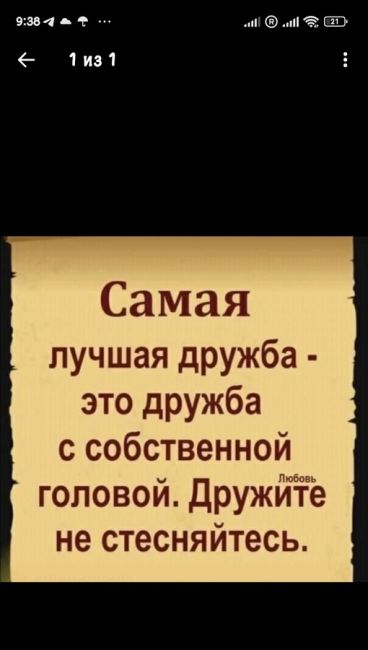 Подростки в Петербурге нападают на людей и крушат все, что попадает им под руку — полиция проводит..