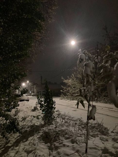 🗣️ На севере Нижегородской области уже выпал снег
Ждем у..