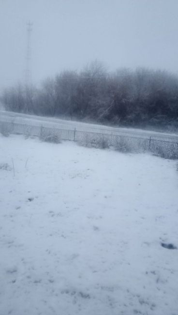 В некоторых райнах Омской области сегодня выпал снег. На фото обстановка в Седельниково и..