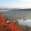 Нереально красивое осеннее утро в Абрау-Дюрсо😍🍂 

Легкая дымка, озеро словно зеркало, а от ярко красных..