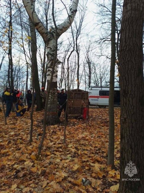 🗣️ Парапланерист врезался в дерево в парке «Швейцария». Он запутался в кроне и не смог выбраться.

На помощь..