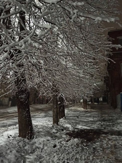 🗣️ На севере Нижегородской области уже выпал снег
Ждем у..