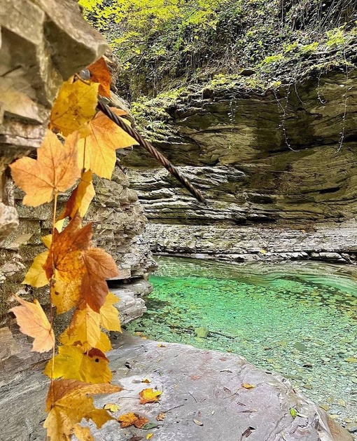 🍂Осень в одном из самых красивых мест Краснодарского края

📍Каньон реки Бешенка, Туапсинский..