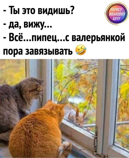 💙 Начнем утро с белочки..