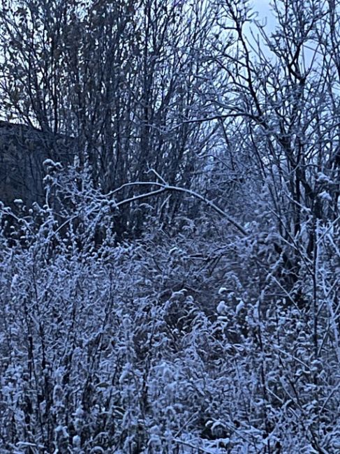 В селе Берёзовка (Пермский край) был сегодня первый снег

Когда же нам ждать его в..