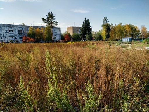 В поселке Смолино пустырь превратится в сквер. 

Ожидается, что здесь будет спортивная площадка с уличными..