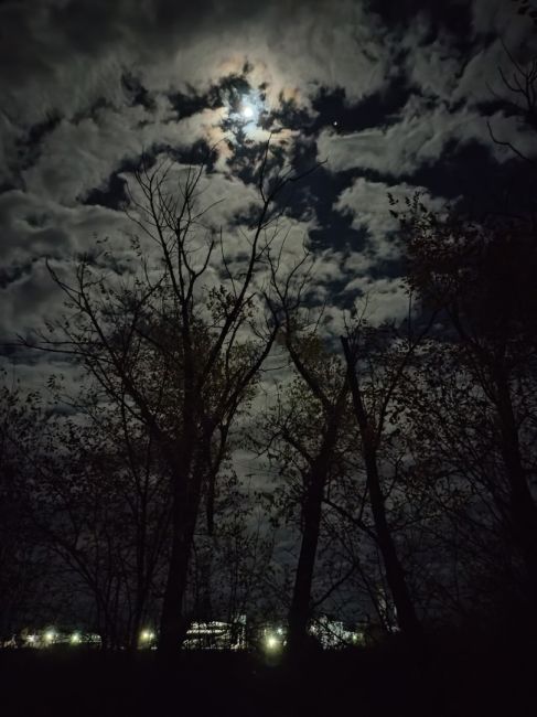 Ночной лунный свет. Где-то в Ростовской области 

Фото от нашего..