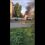 Сегодня утром на Панфилова после столкновения загорелись автомобили. Информация о пострадавших..