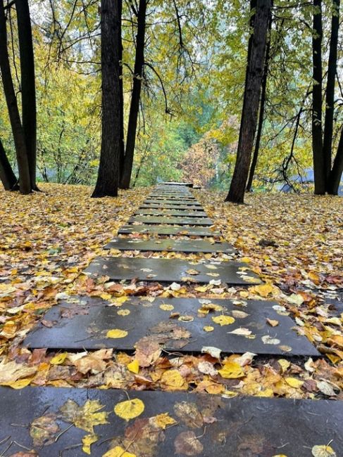 Дождливые осенние краски в парке "Дружба"

Фото Ольга..