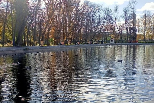 Краски осени в парке им. 1 мая
..