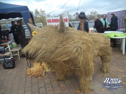 🌾 День донского урожая в парке..