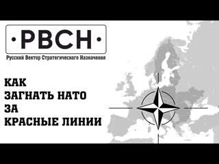 Сказочная красота спряталась в одном из дворов на Политбойцов
..