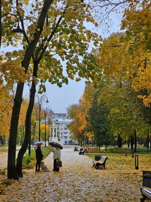 Все ещё золотая осень в парке Орленок...