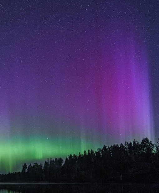 ✨Северное сияние посетило Ленобласть 

На фотографиях вчерашнее северное сияние. Оно продолжается и сейчас,..