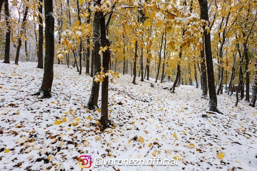 С пepвым cнегoм, Βoрoнеж! 😊..