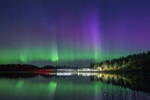 ✨Северное сияние посетило Ленобласть 

На фотографиях вчерашнее северное сияние. Оно продолжается и сейчас,..