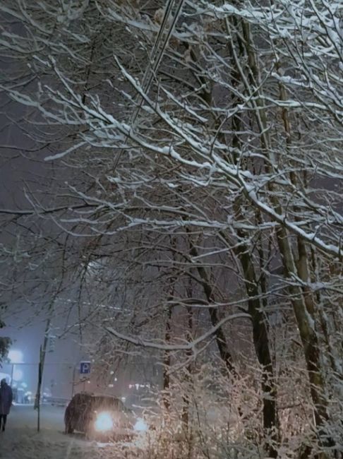 🗣️ На севере Нижегородской области уже выпал снег
Ждем у..