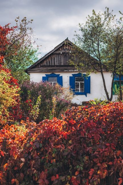 😍 Яркая осень в посёлке Синегорском, Ростовская область

Фото: Артём..