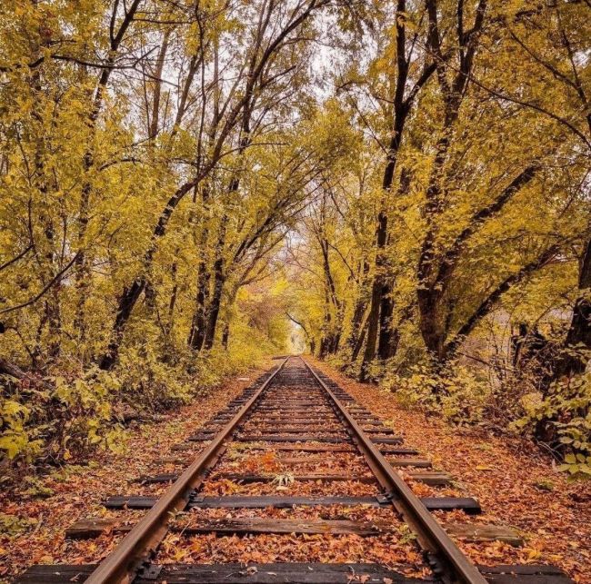 Осенняя атмосфера на железнодорожных путях «кладбища поездов» в Западном микрорайоне🍁

Очевидцы сообщают..