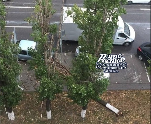 ⚠🌳 Последствия сильного ветра в Ростове. Повалило десятки деревьев, лавочки, дорожные знаки. Давно такого..