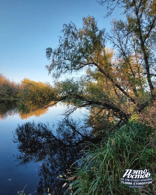 Золотая осень в окрестностях Белой Калитвы..