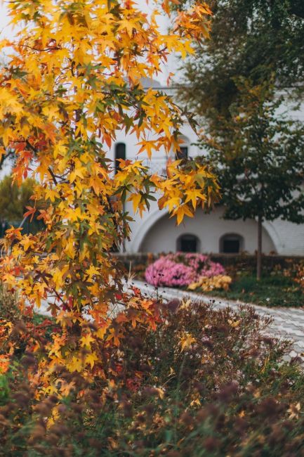 Красивая осень в Старочеркасской 🧡 

Фото: Артём..