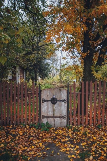 🍁 Многоцветная осень в станице Старочерскасская.

Фото:Артём..