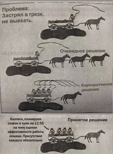 У здания мэрии не могут разобраться, что делать с участками, где ранее вырубили деревья.

Год назад посадили..