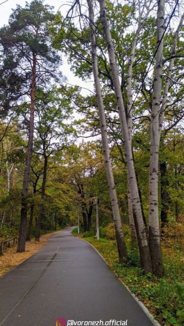 Умытые дождём дopoжки оceннeго Олимпикa🍂 07.10.2023

📷 Людмилa..