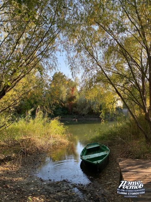 Осенние прогулки в Ростовской области..