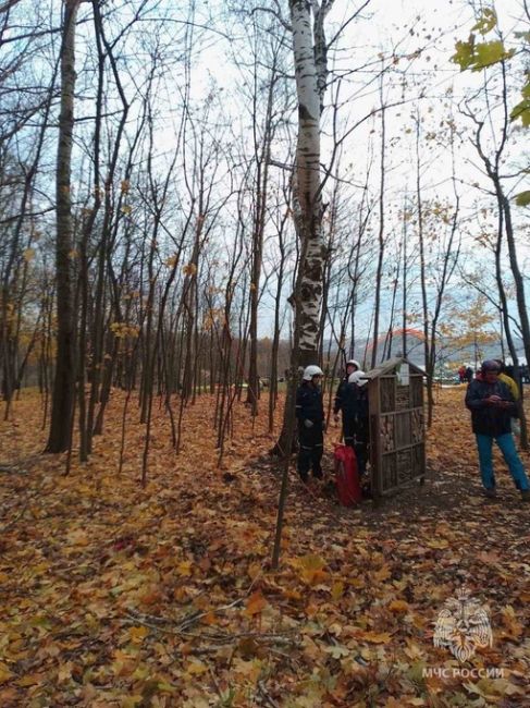 🗣️ Парапланерист врезался в дерево в парке «Швейцария». Он запутался в кроне и не смог выбраться.

На помощь..