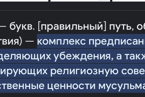 Половина мигрантов в России не желают жить по законам РФ и предпочитают шариат

Это выяснили специалисты..