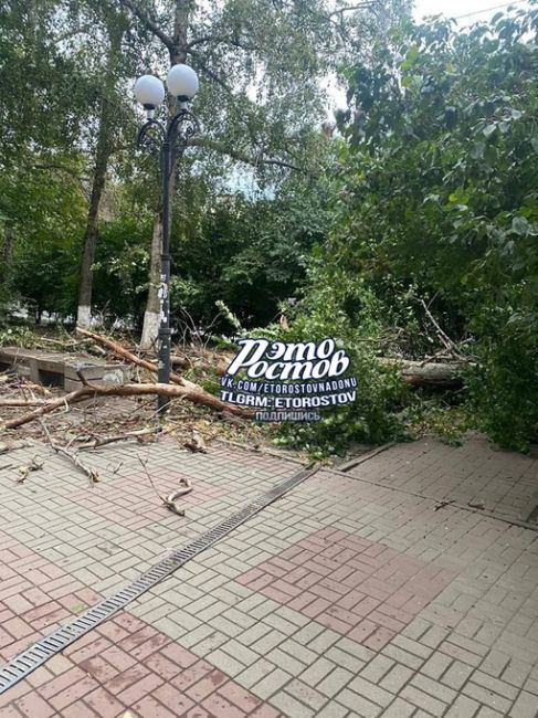 🌳⚠ На Таганрогской упало дерево на..