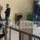 В самарском ТЦ Letout экстренно эвакуировали покупателей 

Включилась сигнализация

В самарском фитнес-центре..