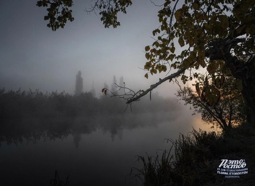 🌁 Туманный рассвет в Ростовской..