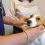 В Петербурге приостановили бесплатную вакцинацию собак

В государственных ветеринарных клиниках нельзя..