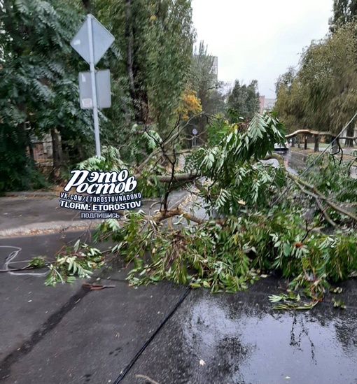 ⚠🌳 Последствия сильного ветра в Ростове. Повалило десятки деревьев, лавочки, дорожные знаки. Давно такого..