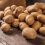 За неделю в Самарской области картофель подешевел на 7,3% 

Сильнее всего подорожали свежие огурцы и помидоры…