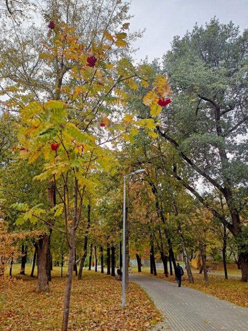 Осень в парке "Липки", ул. Восточная (м.Автозаводская) 
 
Фото: Ирина..